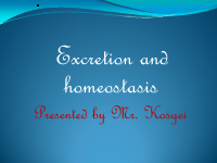 EXCRETION AND HOMEOSTASIS.pdf
